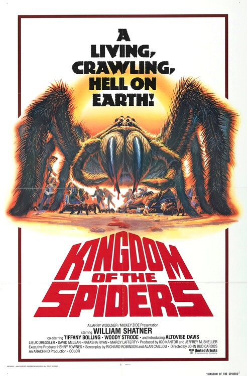 Tableau sur toile Kingdom Of The Spiders 02