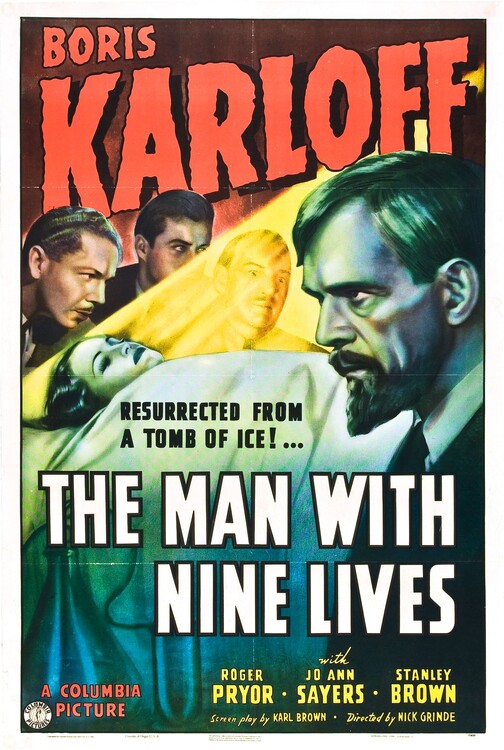Poster Man With Nine Lives
