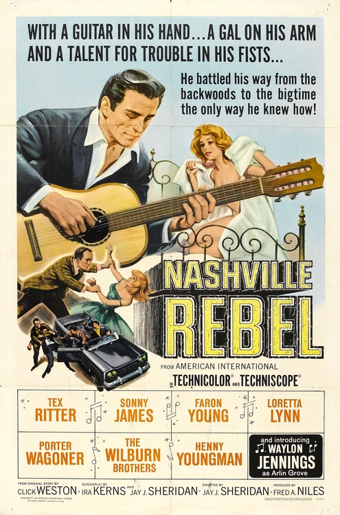 Cuadro en lienzo Nashville Rebel