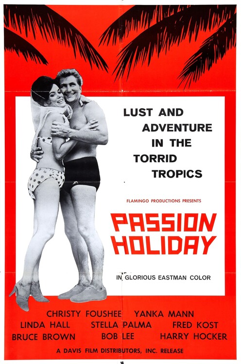 Canvas-taulu Passion Holiday