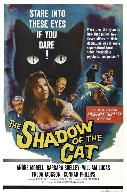 Poster Shadow Of Cat