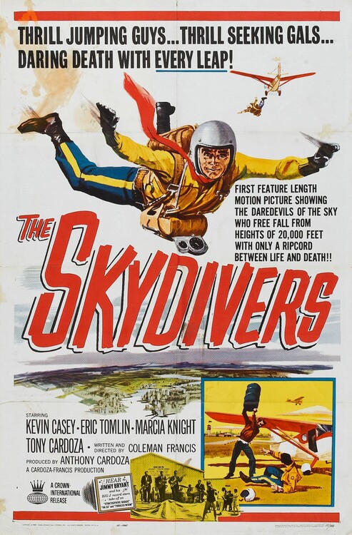 Poster Skydivers