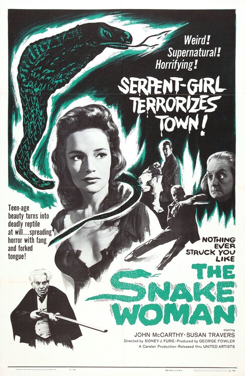 Obraz na plátně Snake Woman