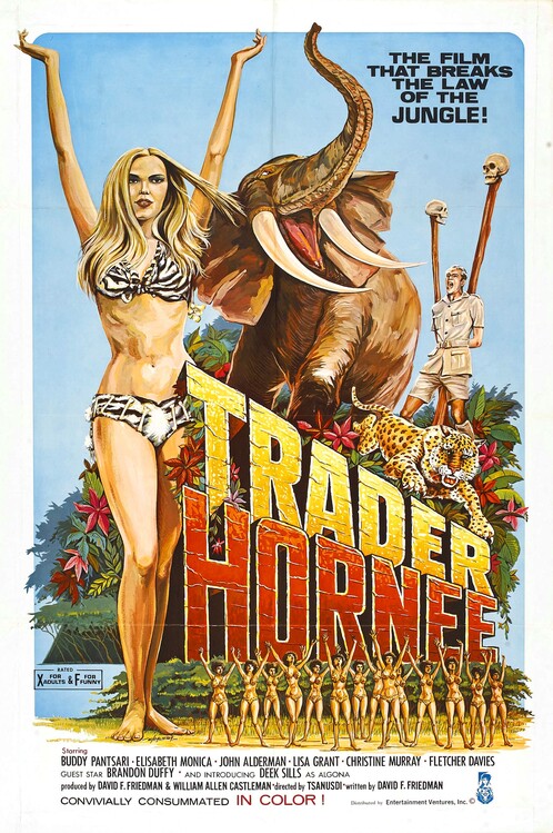 Canvas Print Trader Hornee