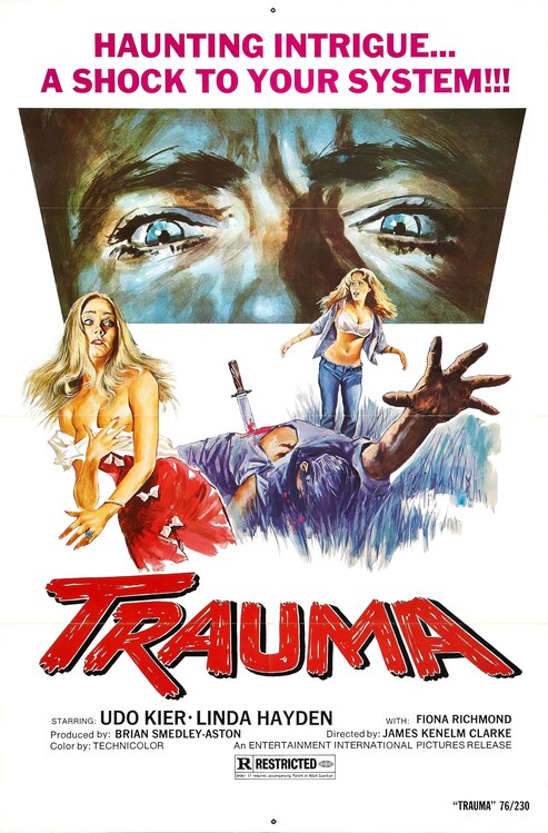Canvas Print Trauma 1976
