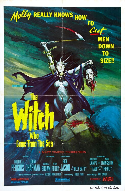 Canvas Print Witch Who Came From Sea