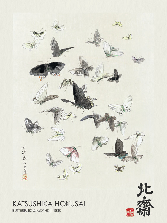 Poster Butterflies & Moths (1830)