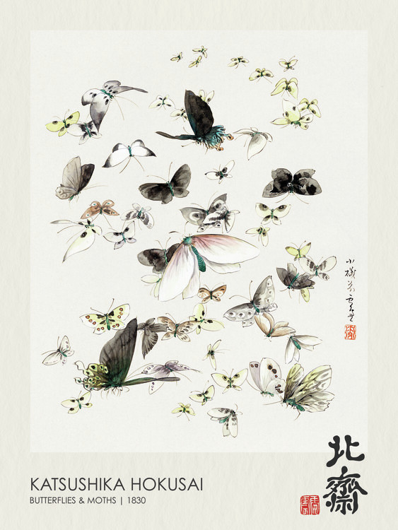 Poster Butterflies & Moths II (1830)