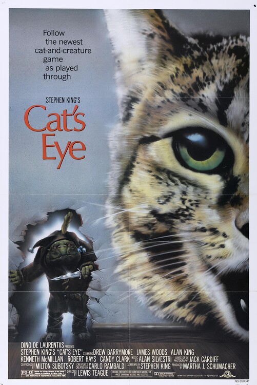 Canvas Print Cats Eye