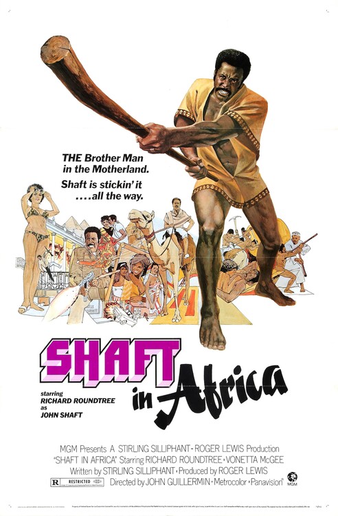 Poster Shaft In Africa