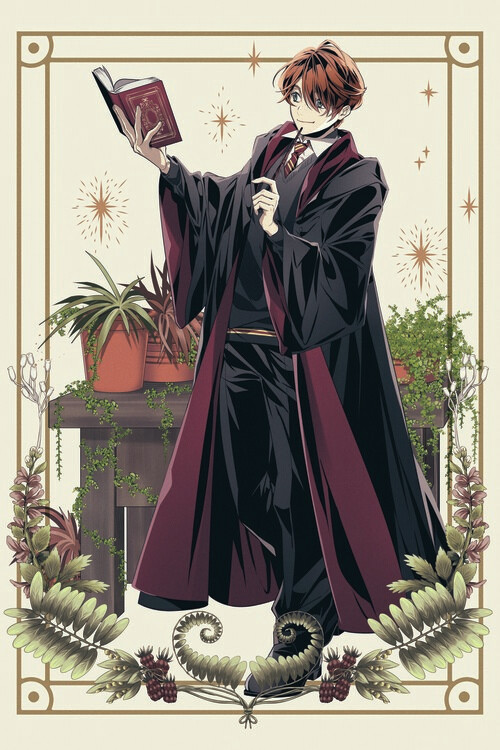 Poster Harry Potter - Ron in his habitat