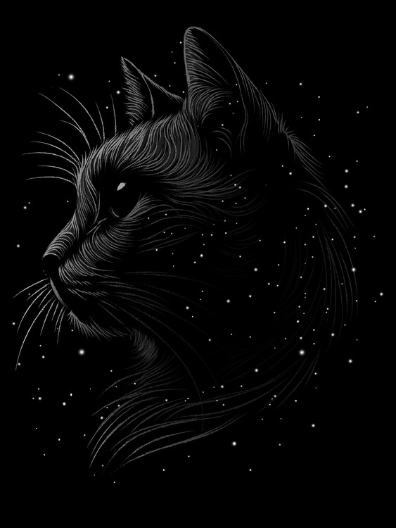 Poster Space cat