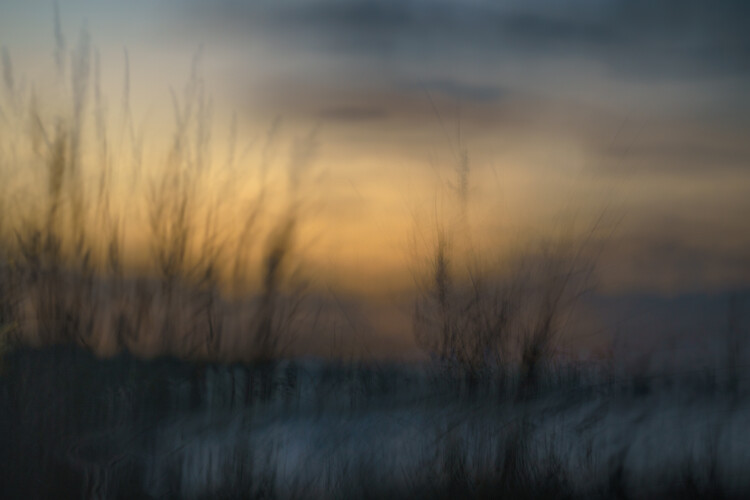 Juliste Sunset from the dunes Abstract ICM