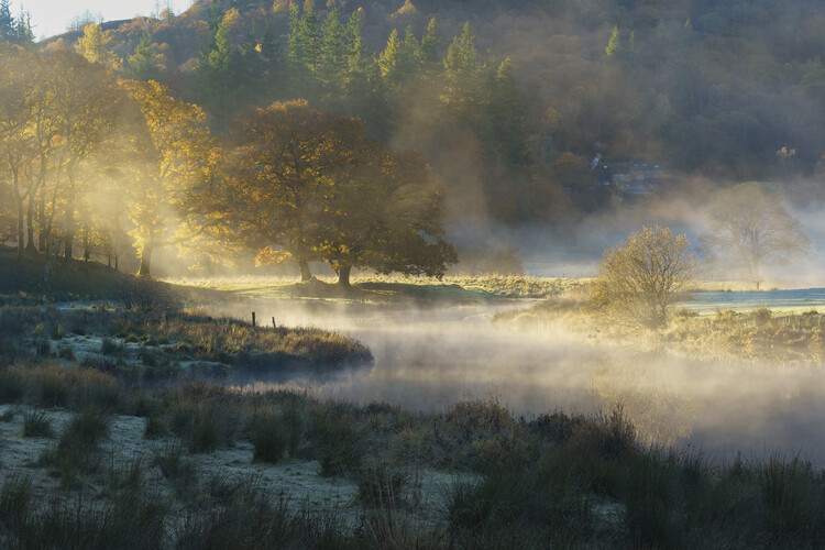 Poster Misty sunrise over river Brathay near Elterwater, Cumbria