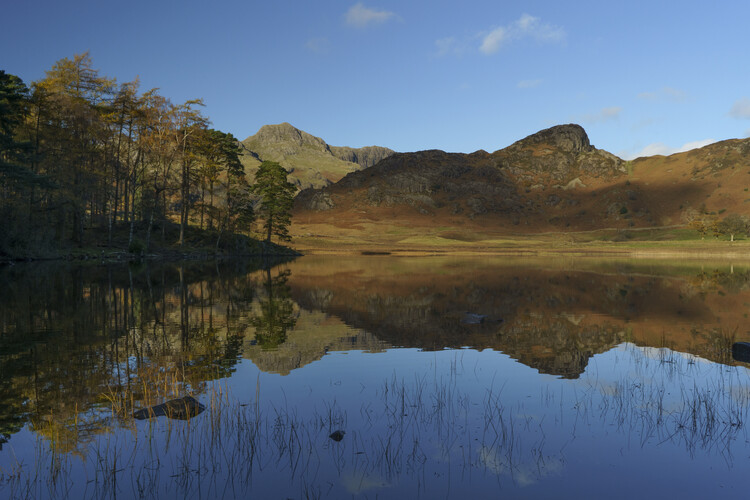 Poster Langdale pikes from Blea Tarn Lake district