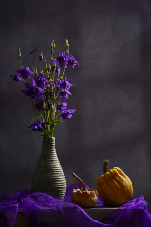 Poster Purple Aquilegia still life with squash