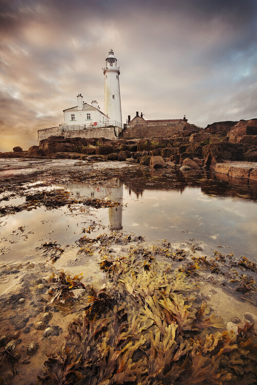 Poster St Marys lighthouse