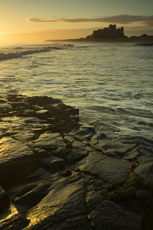 Poster Bamburgh castle sunrise