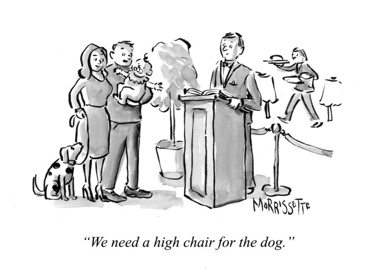 Poster Dog High Chair