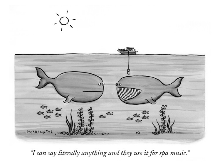 Poster Talking Whale