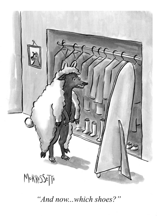 Poster Wolf Getting Dressed