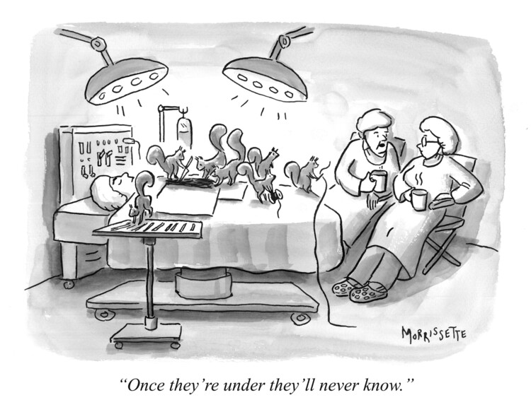 Poster Squirrel Surgery