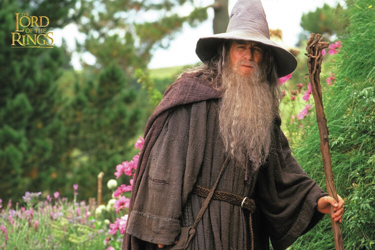 Obraz na plátně Lord of the Rings - Gandalf