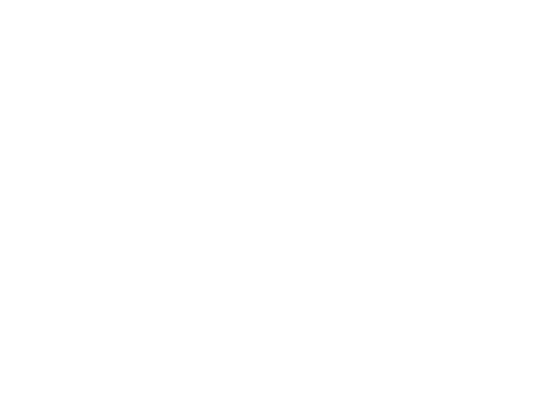 T-shirt The Batman - The Dark Knight