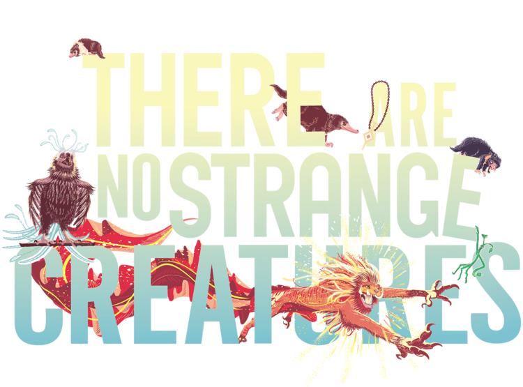T-shirt Fantastic Beasts - There Are No Strange Creatures