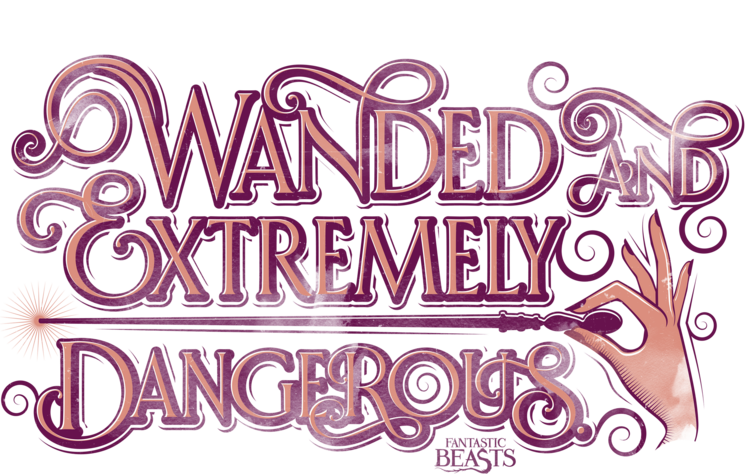 T-shirt Fantastic Beasts - Wanded and Extremely Dangerous