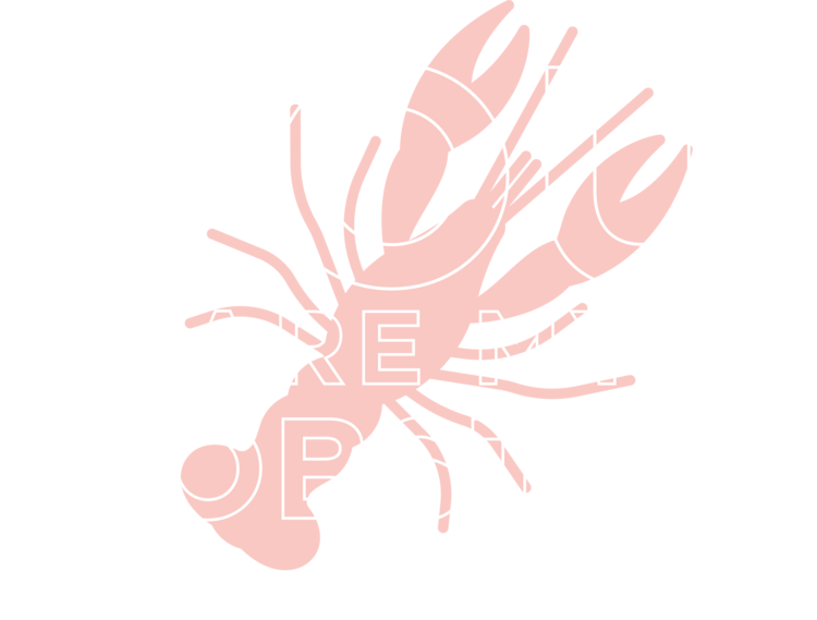 T-shirt Friends - You are My Lobster