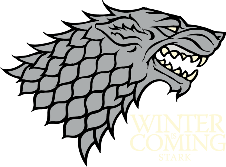 T-shirt Game of Thrones - Winter is Coming
