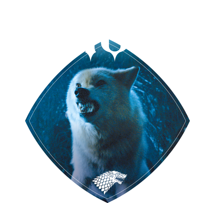 T-shirt Game of Thrones - Ghost