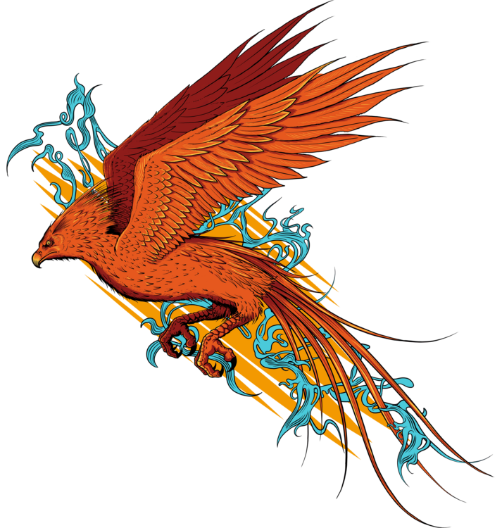T-shirt Harry Potter - Phoenix Fawkes