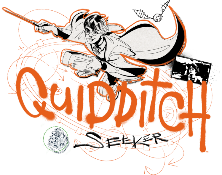 T-shirt Harry Potter - Quidditch Seeker