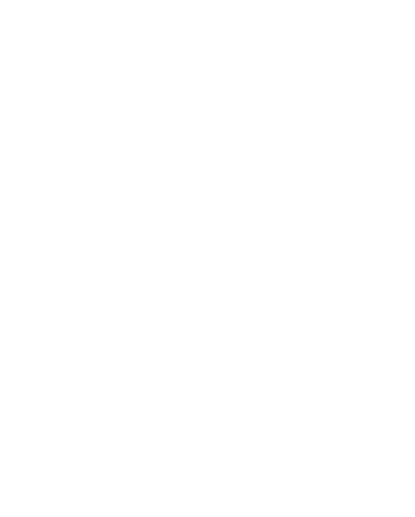 T-shirt Harry Potter - Expecto Patronum