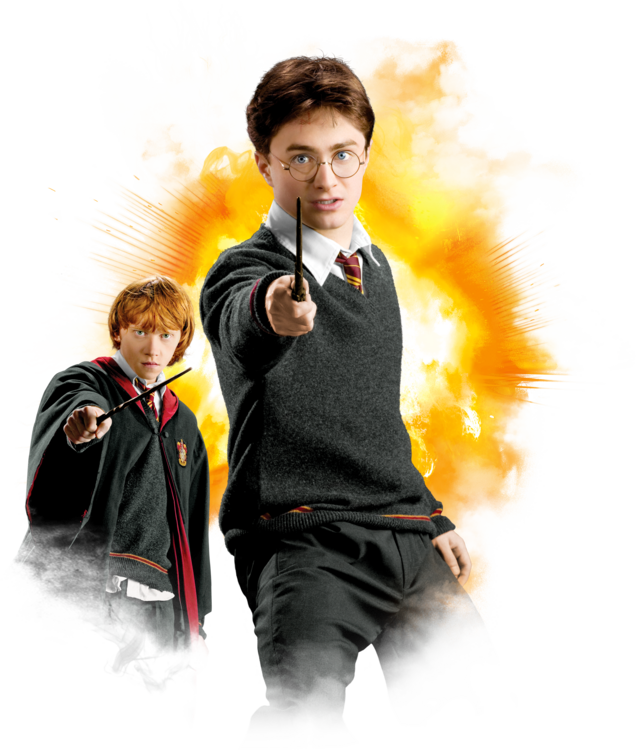 T-shirt Harry Potter - Harry & Ron