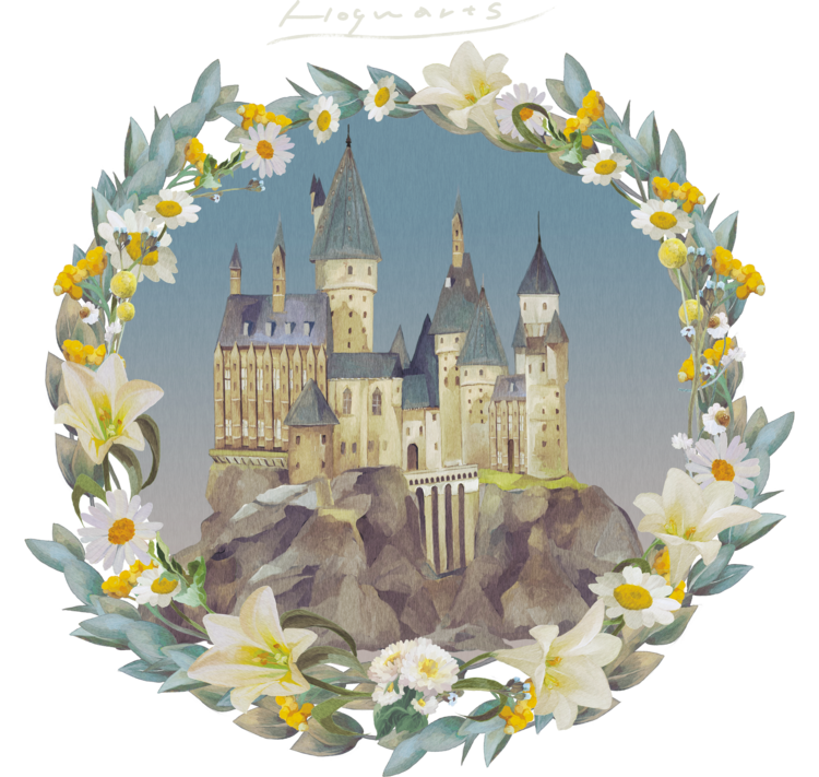 T-shirt Harry Potter - Hogwarts