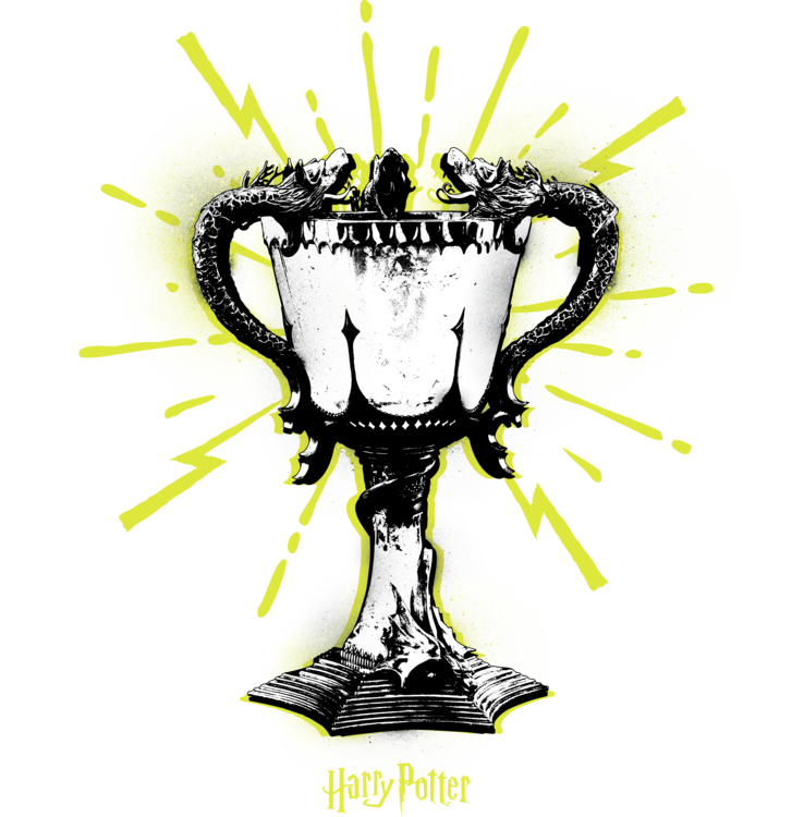 T-shirt Harry Potter - Goblet of Fire