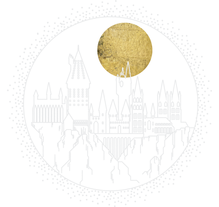 T-shirt Harry Potter - Hogwarts