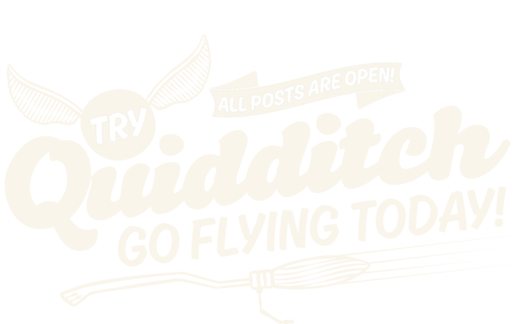 T-shirt Harry Potter - Quidditch