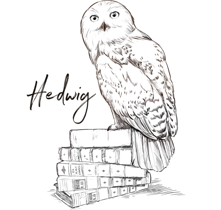 T-shirt Harry Potter - Hedwig