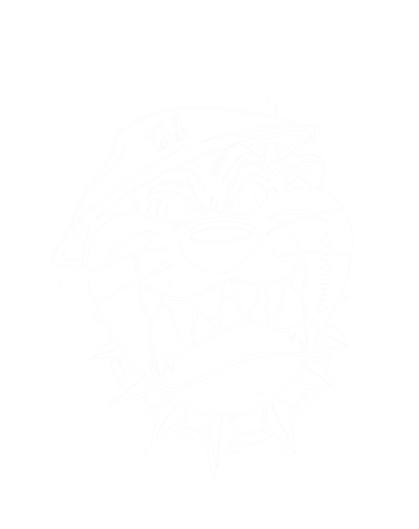 T-shirt Looney Tunes - Tasmanian Devil