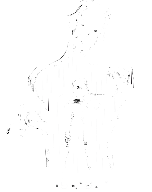 T-shirt The Suicide Squad - Black & white