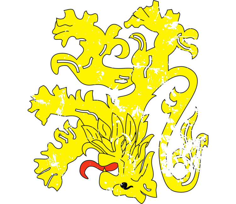 T-shirt The Big Bang Theory - Sheldon's Flag