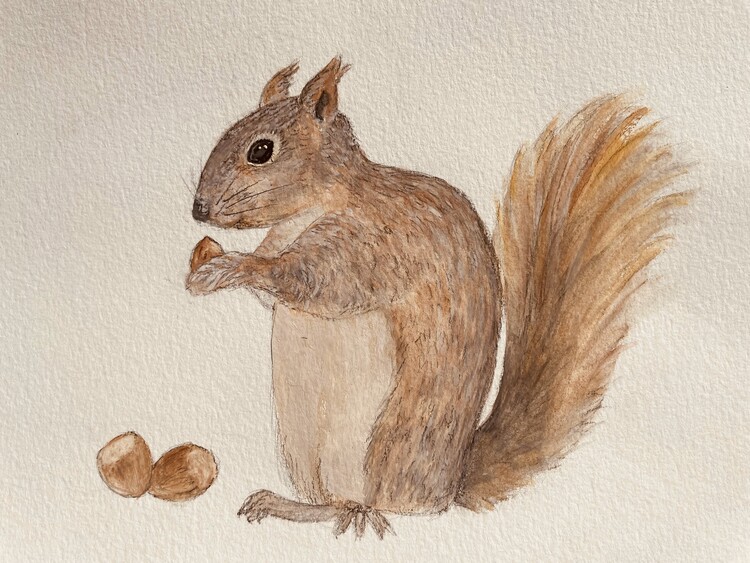 Poster Smart animals