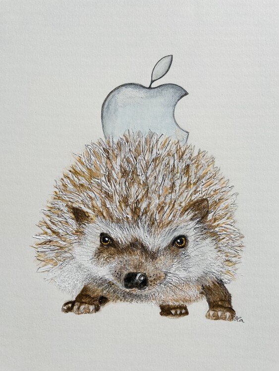 Poster Hedgehog and apple