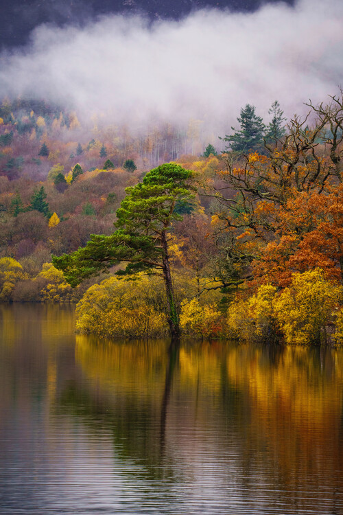 Poster Autumnal trees and reflections over Derwentwater lake
