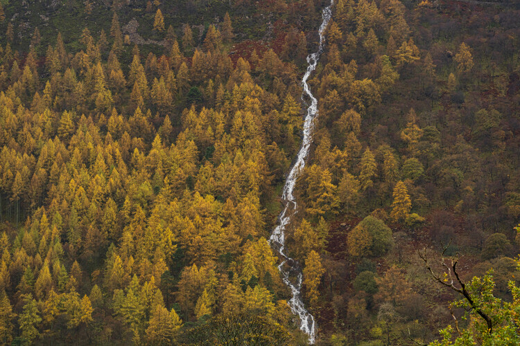 Poster Waterfall through the trees, Buttermere