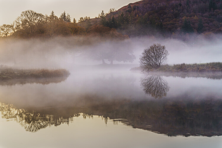 Poster Misty morning over the river Brathay, Elterwater
